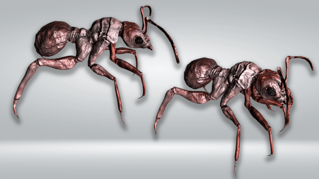 Ant 03 – Filebase for Unity
