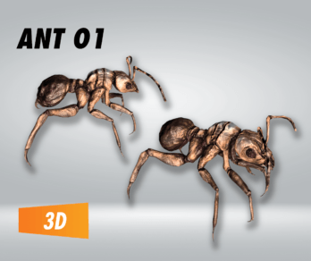 Ant 01 – Filebase for Unity