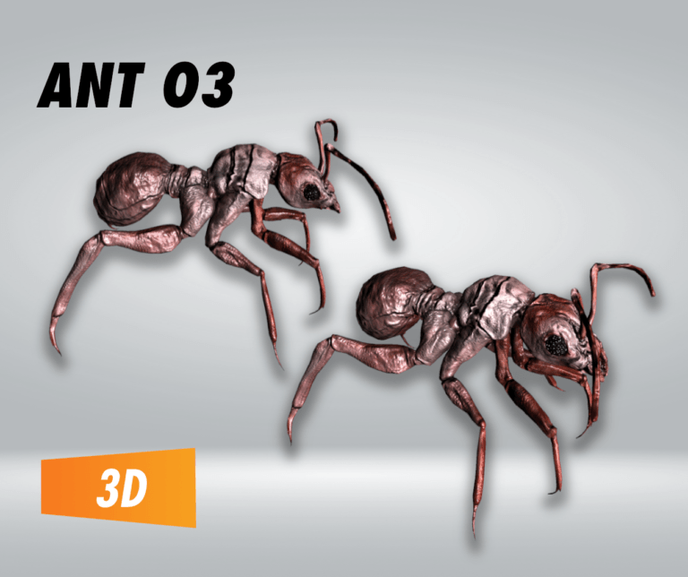 Ant 03 – Filebase for Unity