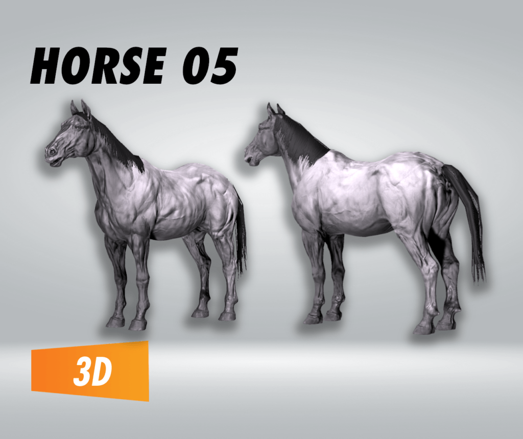 Horse 05 – Filebase for Unity
