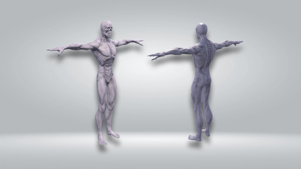 Monster 11 – Filebase for Unity